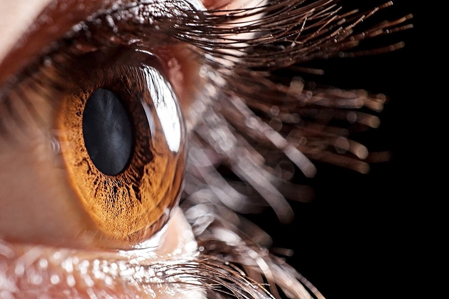 Close up of cornea